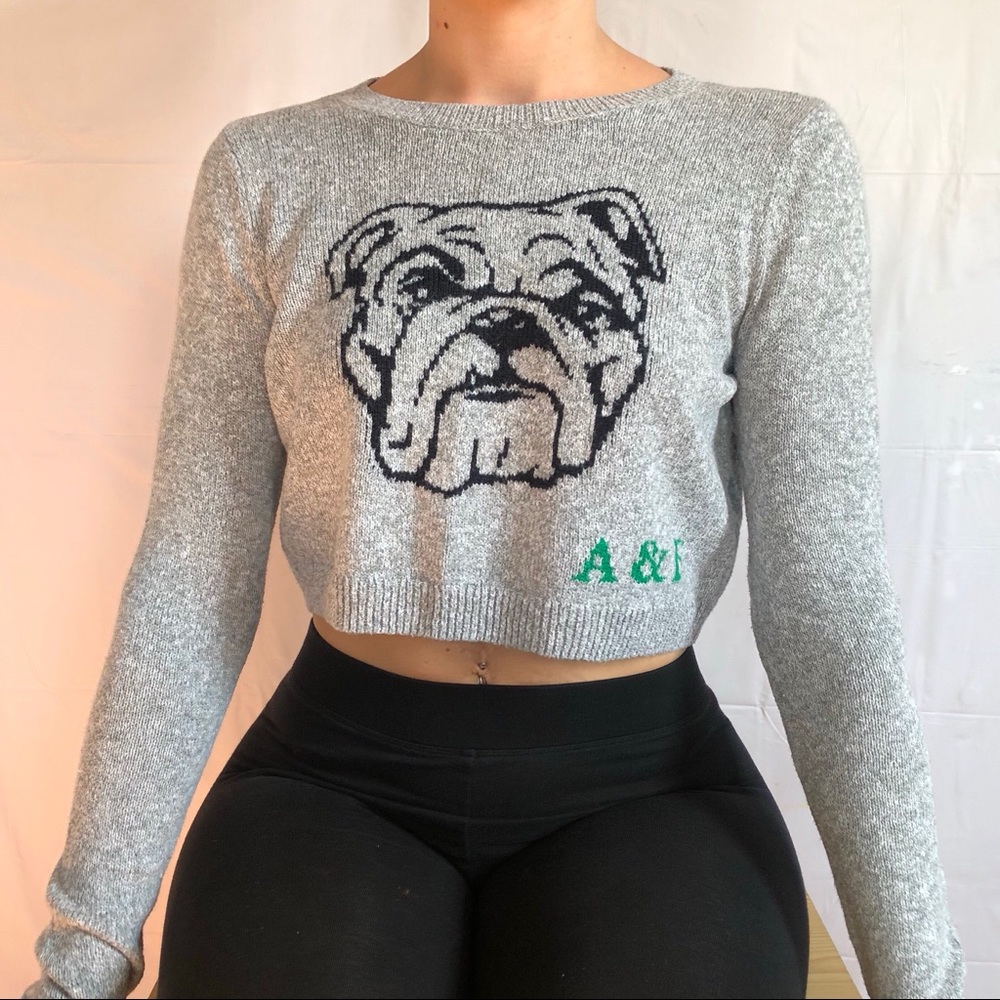 A&F gray crop sweater w/ bulldog graphics.